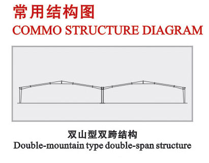 东日钢构双山型双跨结构